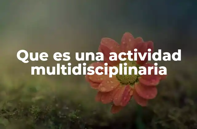 Que es una Actividad Multidisciplinaria