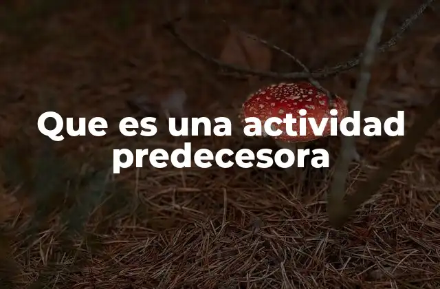 Que es una Actividad Predecesora