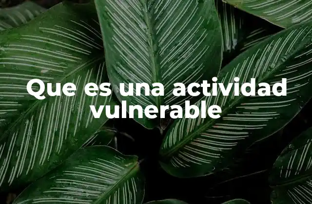 Que es una Actividad Vulnerable