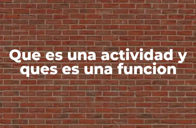 Que es una Actividad y Ques es una Funcion