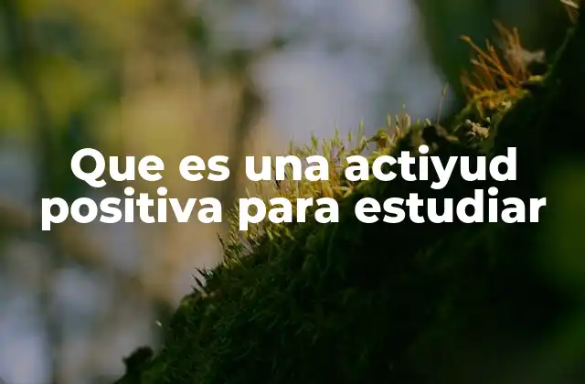 Cómo influye la mentalidad en el rendimiento académico