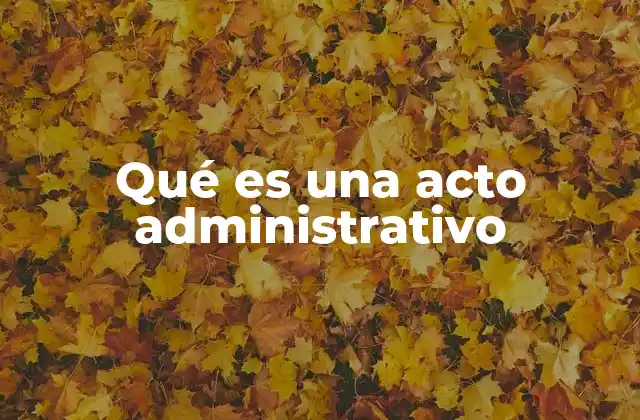 La importancia de los actos administrativos en la organización del Estado