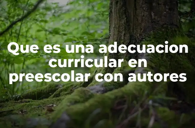 Que es una Adecuacion Curricular en Preescolar con Autores