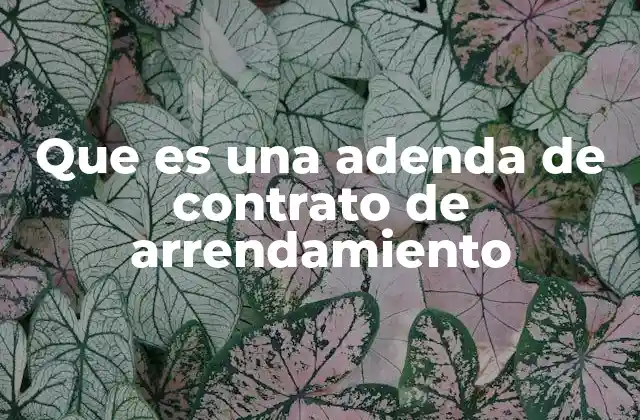 La importancia de mantener actualizados los términos de arrendamiento