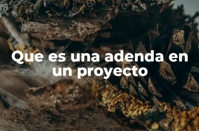 Que es una Adenda en un Proyecto