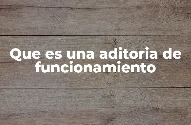 Que es una Aditoria de Funcionamiento