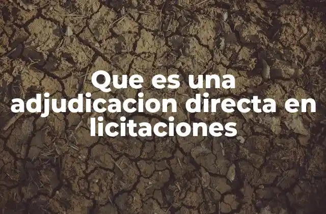 Que es una Adjudicacion Directa en Licitaciones