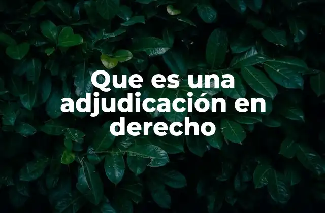 Que es una Adjudicación en Derecho