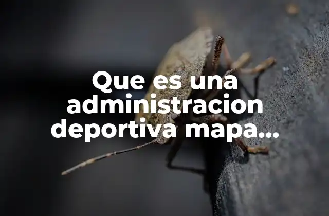 La importancia de la visualización en la gestión deportiva