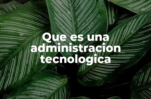 Que es una Administracion Tecnologica