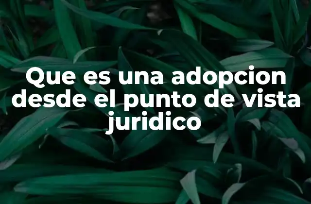 Que es una Adopcion desde el Punto de Vista Juridico