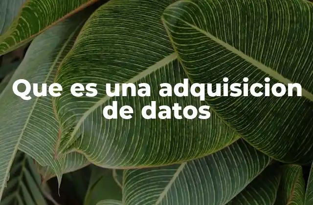 Que es una Adquisicion de Datos