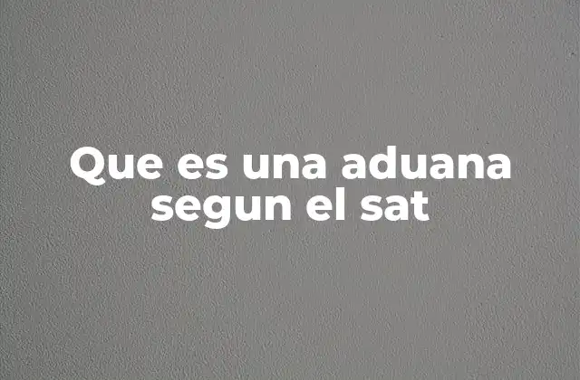 Que es una Aduana Segun el Sat