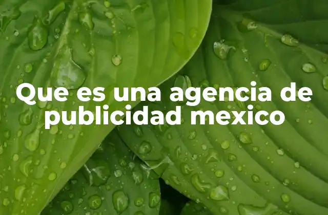Que es una Agencia de Publicidad Mexico