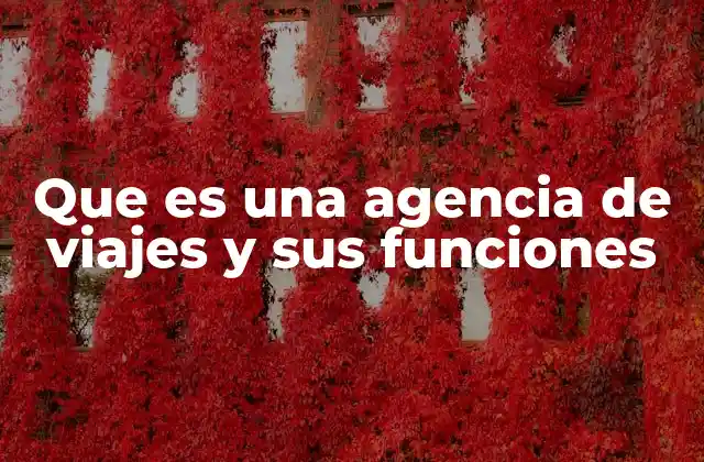 Que es una Agencia de Viajes y Sus Funciones
