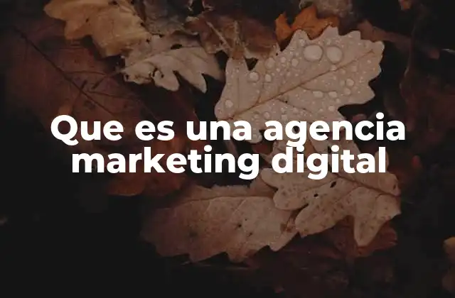 Que es una Agencia Marketing Digital