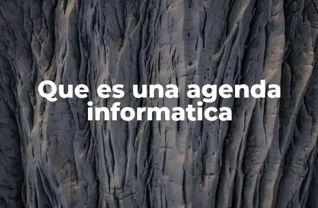 Que es una Agenda Informatica