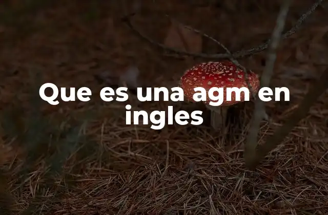 Que es una Agm en Ingles