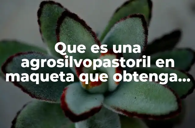 Que es una Agrosilvopastoril en Maqueta que Obtenga Energia 2 Sistemas integrados de producción y energía en escala reducida
