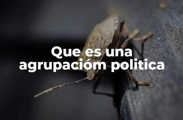 Que es una Agrupacióm Politica