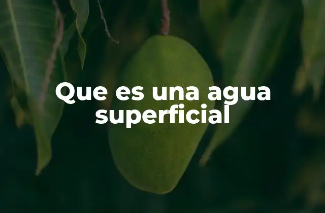 Que es una Agua Superficial