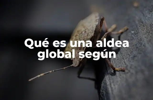 Qué es una Aldea Global según