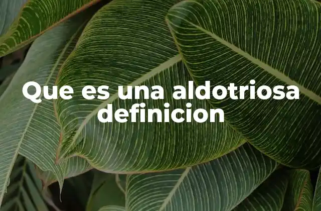 Que es una Aldotriosa Definicion