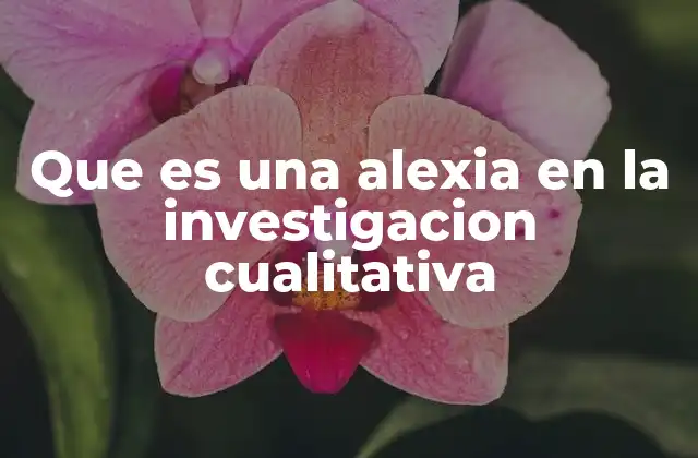 Que es una Alexia en la Investigacion Cualitativa