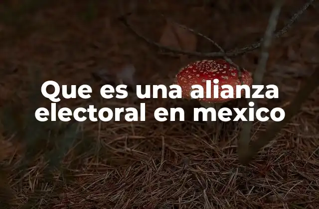 Que es una Alianza Electoral en Mexico