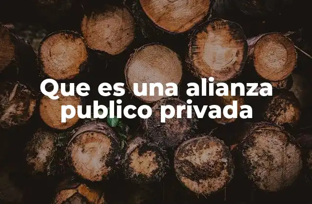 Que es una Alianza Publico Privada