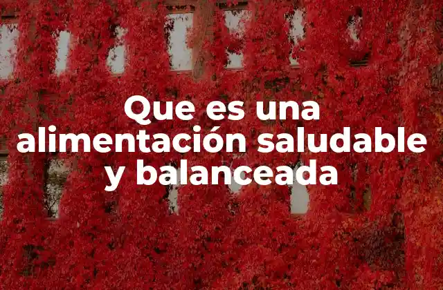 Que es una Alimentación Saludable y Balanceada