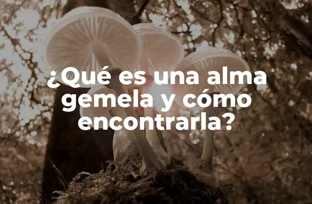 ¿qué es una Alma Gemela y Cómo Encontrarla?