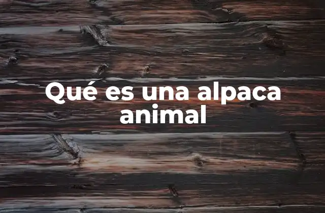 Qué es una Alpaca Animal