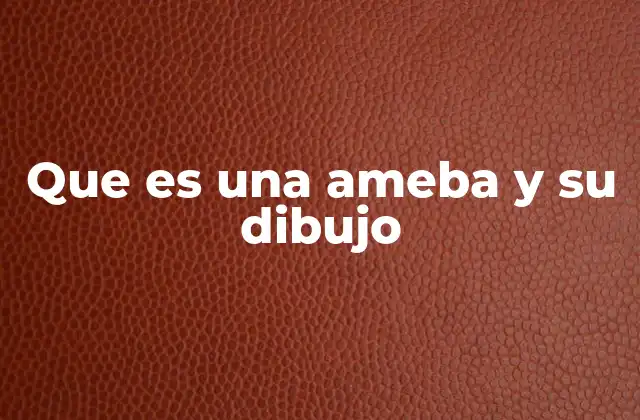 Que es una Ameba y Su Dibujo