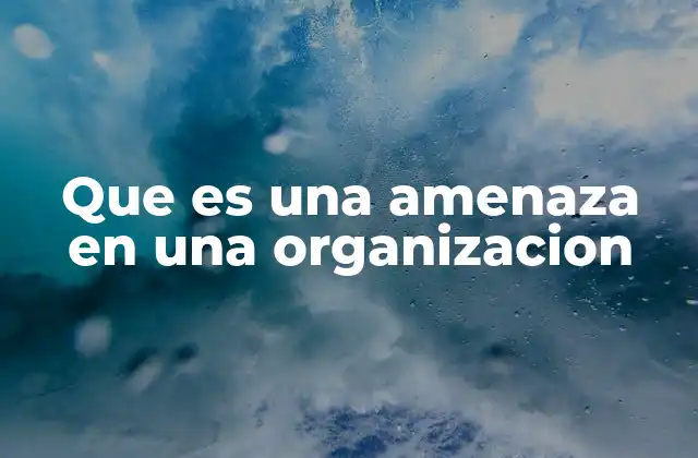 Que es una Amenaza en una Organizacion