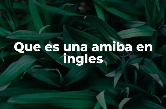 Que es una Amiba en Ingles