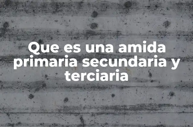 Características químicas y estructurales de las amidas