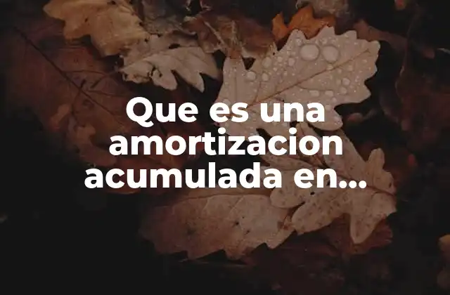 La amortización acumulada y su papel en los estados financieros