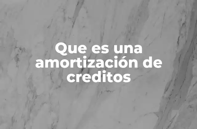 Que es una Amortización de Creditos