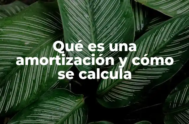 Qué es una Amortización y Cómo Se Calcula