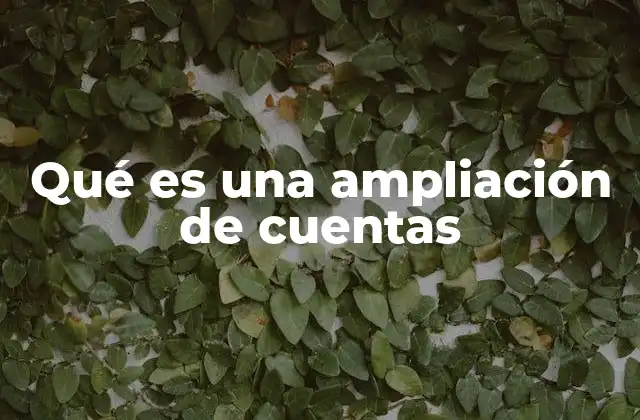 Qué es una Ampliación de Cuentas