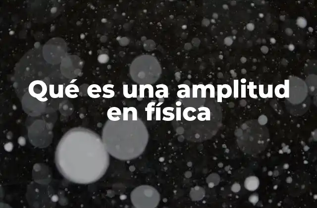 Qué es una Amplitud en Física
