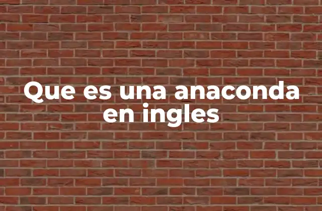 Que es una Anaconda en Ingles 2 El uso de la palabra anaconda en el contexto lingüístico inglés