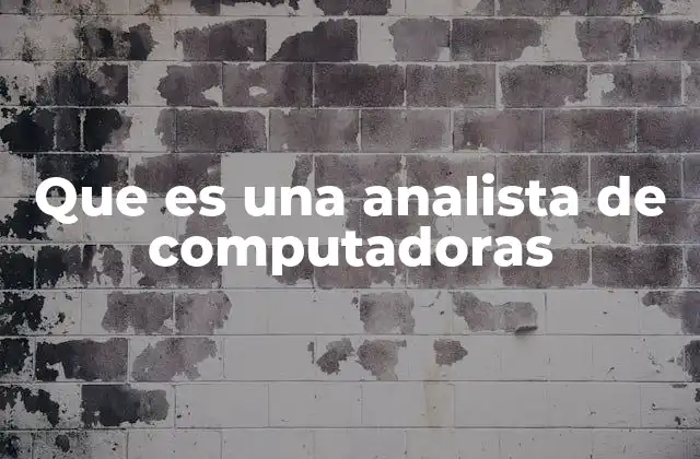 Que es una Analista de Computadoras