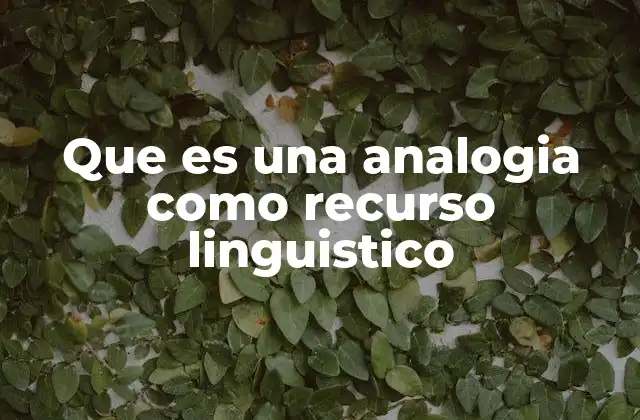 Que es una Analogia como Recurso Linguistico