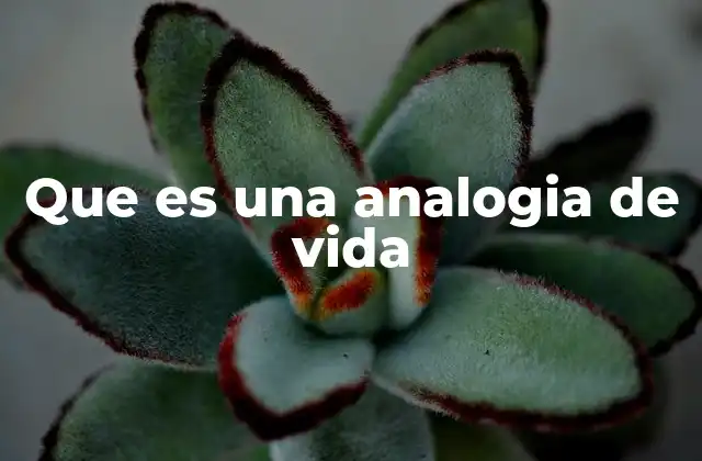 Que es una Analogia de Vida