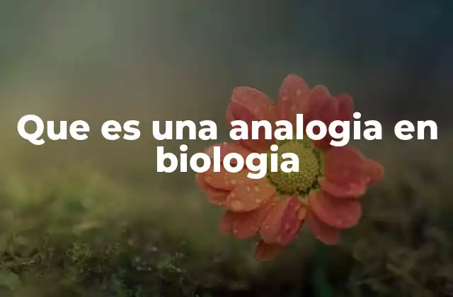 Que es una Analogia en Biologia
