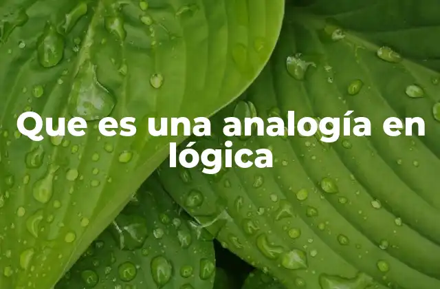 Que es una Analogía en Lógica