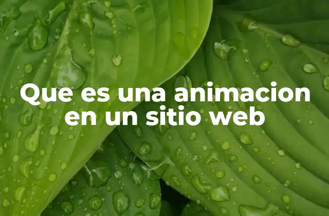 Que es una Animacion en un Sitio Web