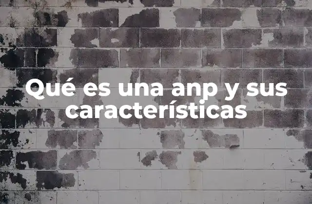 Qué es una Anp y Sus Características